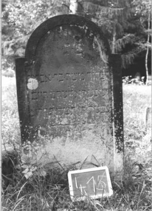 Grabstein 415 (Index: 99895875) Material: Sandstein Zustand: im unteren Teil stark bewachsen Maße HxBxT: 108x61x6 cm Beschreibung: Stele mit eingezogenem Rundbogenabschluss: Grabstein 415 (2)