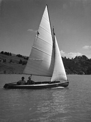 Segeln auf dem Bodensee