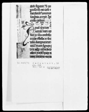 Martyrologium und Regula — Martyrologium — Initiale A (pud cyprum), Folio 101verso