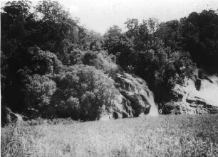 Pangani-Fälle