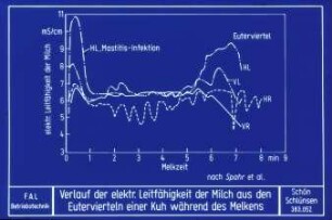 Verlauf der elektr. Leitfähigkeit der Milch aus den Eutervierteln einer Kuh während des Melkens (nach Spahr et al.)