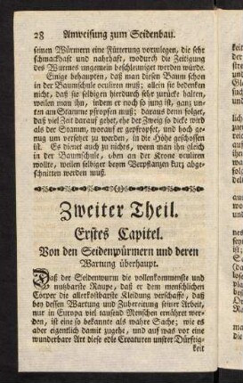 28-48, Zweiter Theil