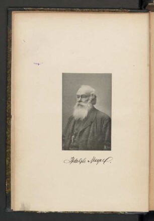 Adolph Meyer