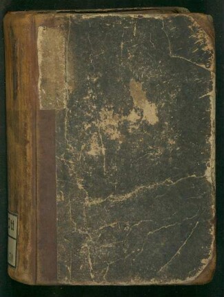 Rache : Novelle