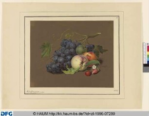 Früchte-Stillleben mit Weintrauben, Pfirsichen und Erdbeeren