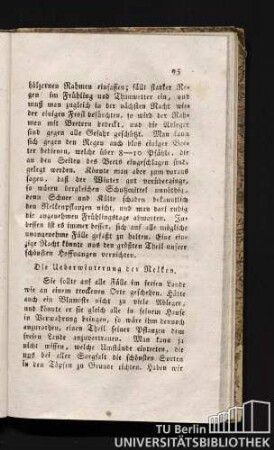 Die Überwinterung der Nelken.