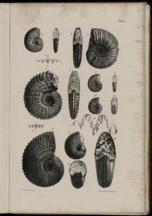 Fig. 1-17
