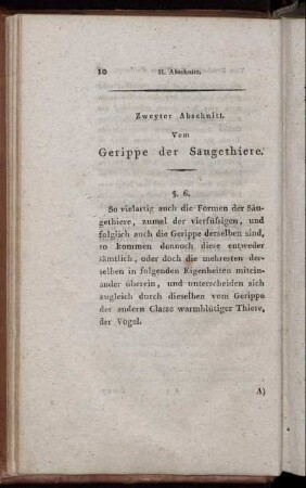 Zweyter Abschnitt. Vom Gerippe der Säugethiere
