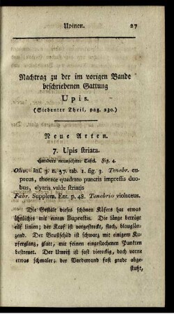 Nachtrag zu der im vorigen Bande beschriebenen Gattung Upis.