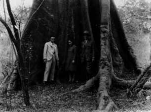 Professor Troll : Gruppenbild mit Carl Troll vor einem Baum