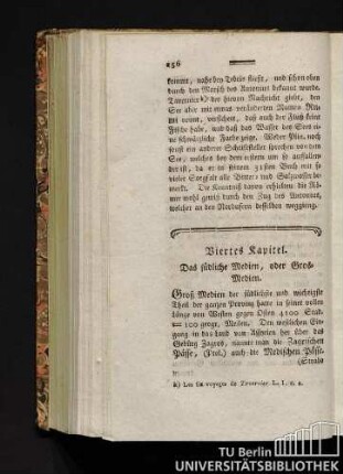 Viertes Kapitel. Das südliche Medien, oder Groß-Medien.