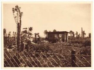 Kleingartenanlage, Hindenburg: Kleingartenanlage: Gartenlaube in umzäunten Kleingarten mit Blumen