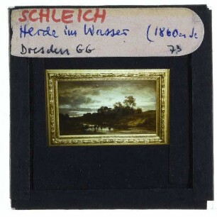 Schleich d.Ä., Herde im Wasser