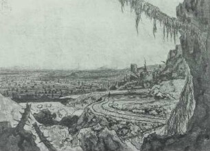 Landschaft mit dem Fichtenzweig
