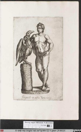 Ganymed und der Adler.