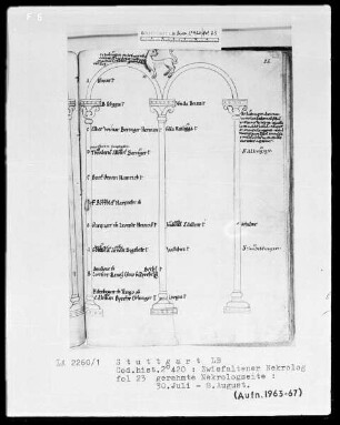 Necrologium Zwiefaltense — Fabeltier, Folio 23recto
