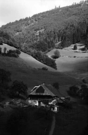 Untermünstertal: Blick ins Münstertal; mit Schwarzwaldhaus