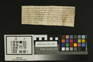 Hohen-Sülzen: Inkorporation der Kirche zu Hohensülzen mit dem Andreasstift zu Worms