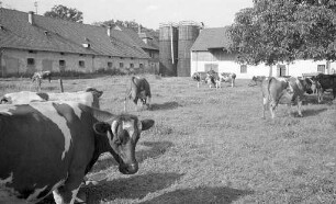 Stadtratsbeschluss zum Erhalt des städtischen Gutshofs Rüppurr.
