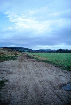 langestreckter Feldweg; stimmungsvoll