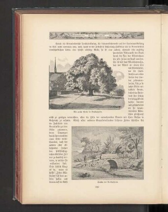 Die große Linde in Bordesholm. Brücke bei Bordesholm.