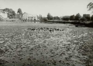 Timmelteich, Mühlteich