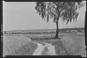 Steinbach. Blick auf Steinbach bei Moritzburg