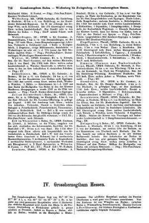 IV. Grossherzogthum Hessen