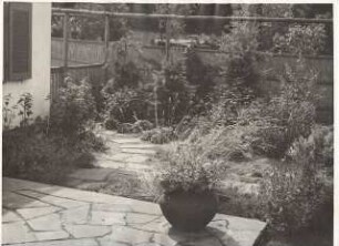 Garten Prof. Wilhelm Kempff, Potsdam: Terrasse und Plattenweg am Haus