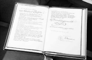 Bad Krozingen: Ehrenurkunde "Ehrenbürgerschaft für Minister Seifriz"