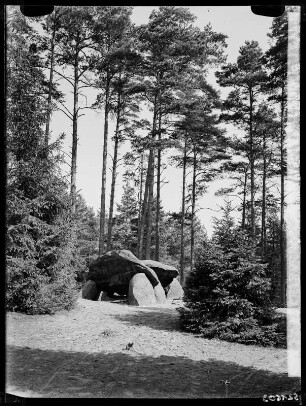 Truppenübungsplatz Bergen. Sieben Steinhäuser bei Südbostel in der Lüneburger Heide
