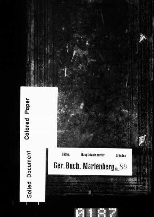 Konsensbuch der Stadt und der zugehörigen Ortschaften, Bd. 08