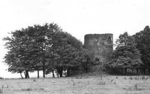 Vysoký (Hohenwald). Holländermühle, Ruine