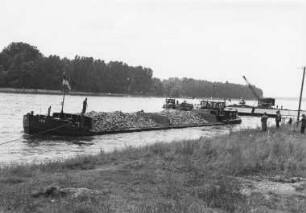 Herstellen eines Leitwerks bei Sondernheim/Rhein