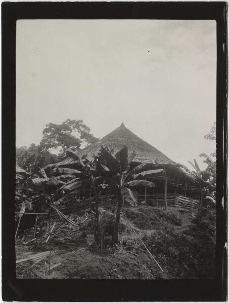 Cabane du Chocó. Chapeau de la maison au sommet de la cabane