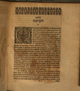 [...] h.e. Caeremonia Palmarum Apud Judaeos in Festo Tabernaculorum solennis Ex Antiquitate Judaica Philologice explanata