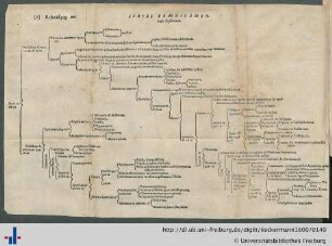 Faltblatt V