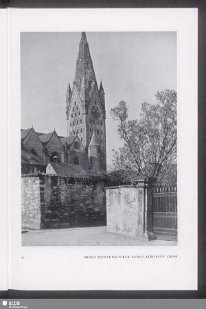 Imads Domturm über Sankt Liborius' Grab
