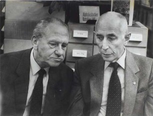 Heinrich Scheel