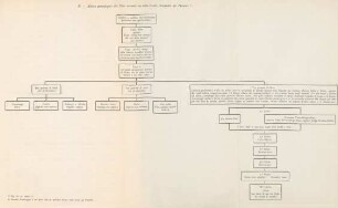 B. Albero genealogico dei Nías secondo un mito locale, trascritto da Thomas
