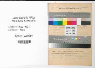 Entnazifizierung Wilhelm Speith , geb. 05.12.1892 (Oberstleutnant)