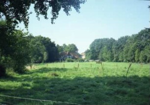 Trittauer Straße: Villa: Außengelände: Blick über Wiesen: im Hintergrund Rückseiten der Gebäude Trittauer Straße 45 und 47 [von rechts]