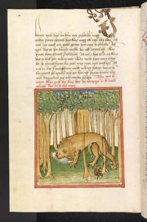 Die Löwin findet das neugeborene Kind der Herzogin