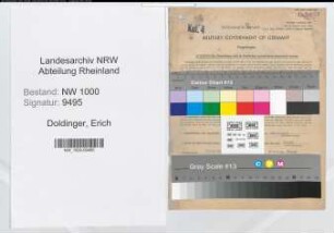 Entnazifizierung Erich Doldinger, geb. 17.11.1902 (Postrat)
