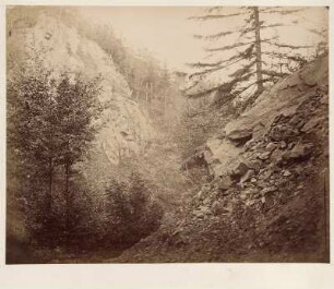 Felslandschaft : Album mit Ledereinband, Metallschließe, Metallknöpfe in allen vier Ecken, bezeichnet goldgeprägt Mitte: ALBUM, bezeichnet typografisch auf Papieretikett oben Mitte: 451, auf 32 Seiten aus Karton mit Goldschnitt 32 aufgeklebte Albuminpapierabzüge; Seiten: je 22,5 x 29,5 cm, Album: 23,3 x 32 x 3,4 cm (1880/1890). Dresden: SLUB/DF 2024.D.8