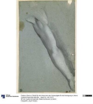 Studie für den linken Arm des Gekreuzigten für die Kreuzigung in Urbino (Galleria Nazionale delle Marche)