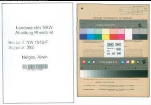 Entnazifizierung Alwin Nelges , geb. 13.10.1903 (Zollbeamter)