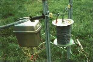 Fotografie: Weidehaltung, Elektrozaun
