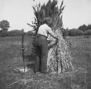 Familienbilder : Fotoversteck aus Schilf auf einer Wiese, Pfingsten 1932