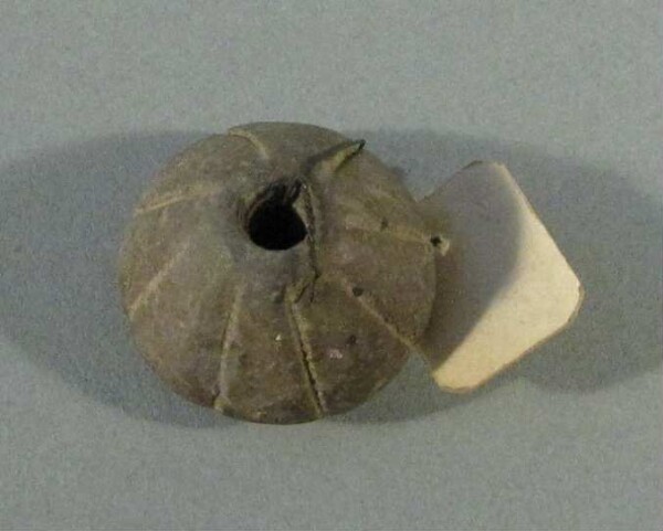 spindle whorl